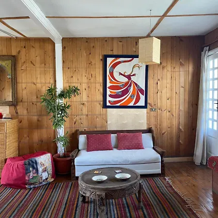 Houseboat65 - Historic Home On The Nile - Central Cairo Exterior photo