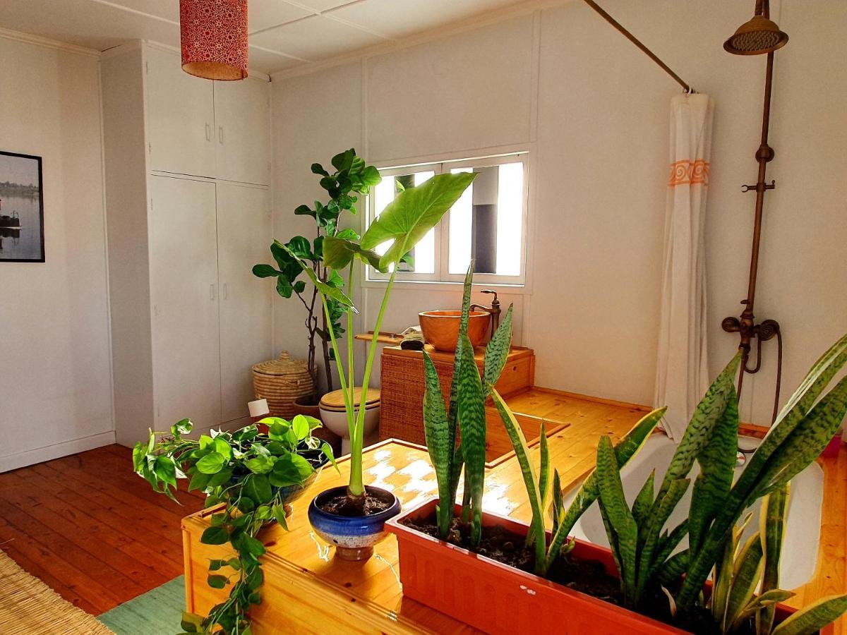 Houseboat65 - Historic On The Nile -